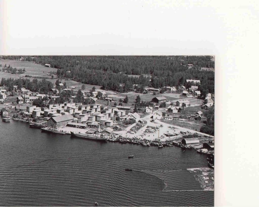 186 Kouhi-Kontion ranta, jonka nimi tulisi muuttaa pikaisesti Kouhin rannaksi kunnioittamaan Kouhin sahasuvun