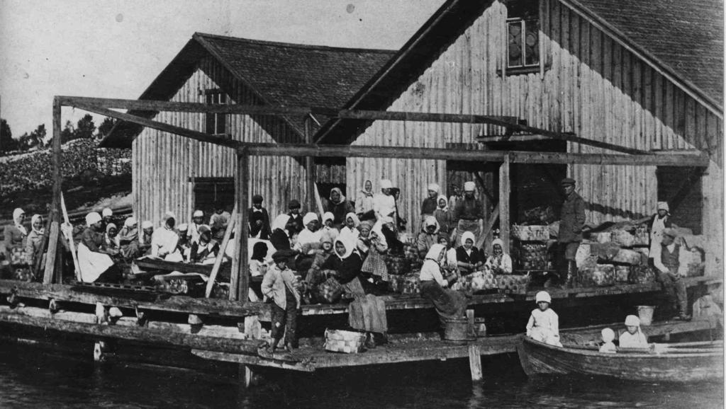 174 Kalasavustamo kuuluu Merikarvian kalastus- ja satamapitäjän katukuvaan.