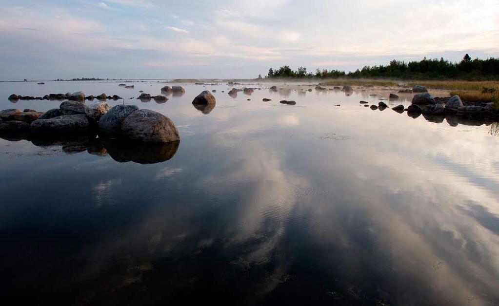 6 Länsi-Suomi Uusia kaukoohjattavia Kiskoon ja Fortumin Länsi-Suomen jakeluverkko koostuu kahdesta alueesta: Satakunnan ja Pohjanmaan verkostoalueista.