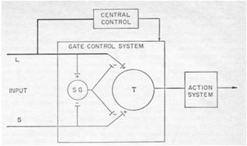 Wall, Science 1965 Selkäytimen takasarvi Kipu inhiboi kipua Kipu inhiboi kipua voimakkaampi kipu voittaa -mukana