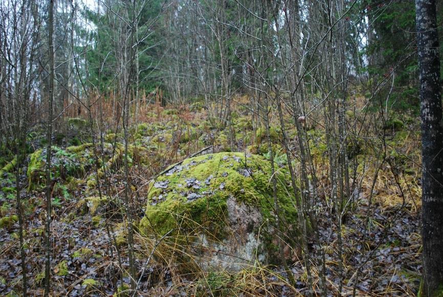 6 havainnointia sekä lisäksi metallinilmaisinetsintää. Silmänvaraisella havainnoinnilla etsittiin maanpäällisiä muinaisjäännöksiä ja niihin viittaavia merkkejä.