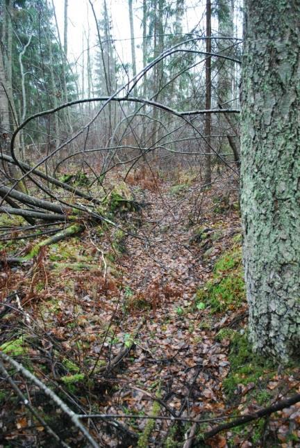 7 1964 peruskartalle ei alueelle ole merkitty peltoa (eikä myöskään mitään rakennuksia), joten kyseinen peltotilkku on metsittynyt viimeistään vuoteen 1961 mennessä,