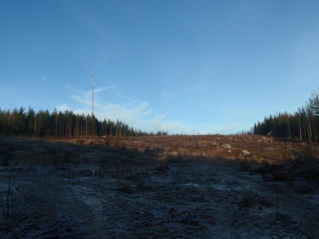 2015 Lintukankaan
