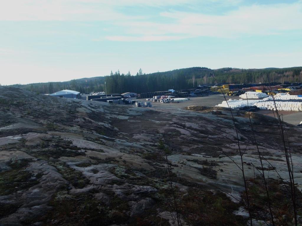 KUVIO 9 on teollisuusalueen tontin kulma, joka on tuoretta ruderaattialuetta. Kuviolta on poistettu kaikki kasvillisuus ja pintamaat kalliota myöden. (Kuva 10).