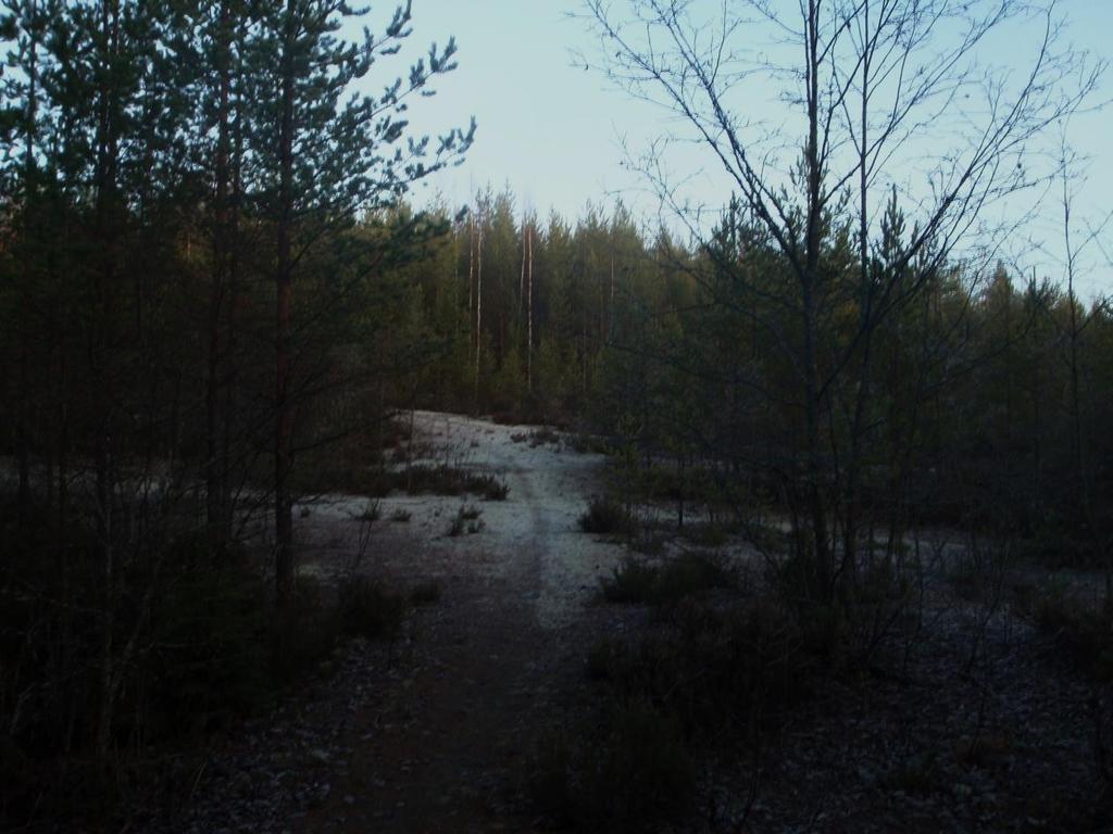Pinta-ala: 1,4 ha Kasvillisuustyyppi: VT (laikuttain myös CT ja MT) Luontotyyppi (Lt): Nuoret kuivahkot kankaat Lt:n uhanalaisuus luokka: VU / VU (Etelä-Suomi / koko Suomi) Lt:n edustavuus: Huono