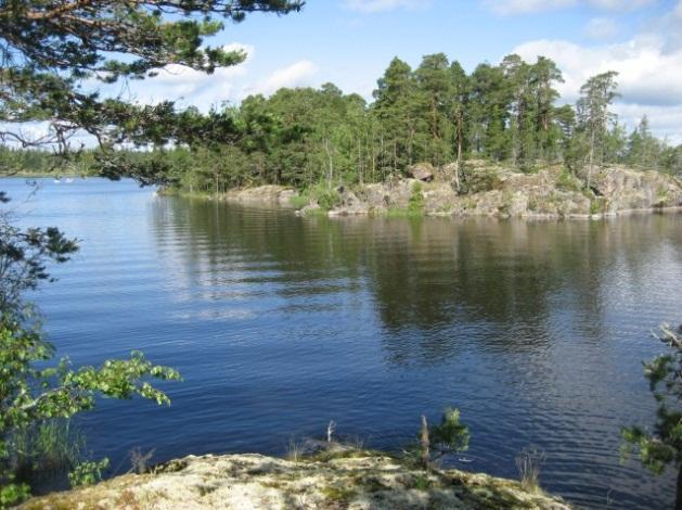 33 Kuva 22. Riutan pohjoispuolen saari ja rantakallioita. 69. Riutan kalliot Riutan pohjoisosan metsät ovat enimmäkseen nuoria männiköitä.
