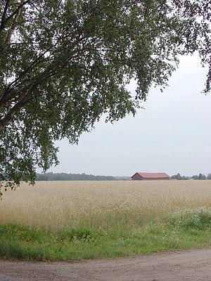4. Maankäyttö- ja rakennuslain mukainen suunnittelujärjestelmä Maankäyttö- ja rakennuslaki (MRL) ohjaa maakuntakaavan valmistelua.