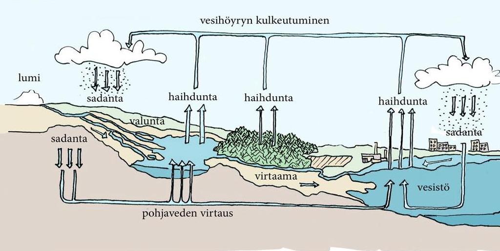 8 2 HULEVEDET, NIIDEN SYNTY JA HALLINTA 2.1 Veden kiertokulku Veden kiertokulku eli hydrologinen kierto on veden jatkuvaa liikettä vesikehässä.