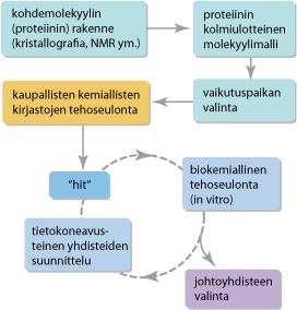 KESTO 10-12 vuotta 800-1000