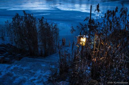Natura kuukauden neljäs tiistai Naturassa (Luonto ja ympäristökuvaajat) asiantuntevat luennoitsijat esitelmöivät luonto kuvan