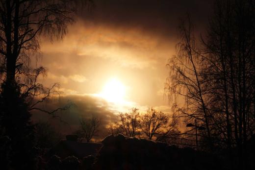 Teema kuukauden toinen torstai Teema kerhon illoissa käy toisinaan vierailijoita ja aiheet vaihtelevat kuvansa herättivät ihailua, kiinnostusta ja laidasta laitaan.