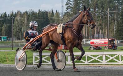 Ohjastaja: Hoitaja: Markku Kivelä & Omistaja: Kasvattaja: Stoeterij Merett