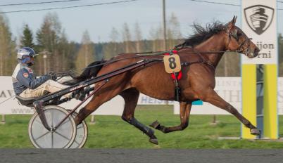 Ohjastaja: Hoitaja: Antti Pihlström Star-Racing Oy & Omistaja: Kasvattaja: Valmentaja:
