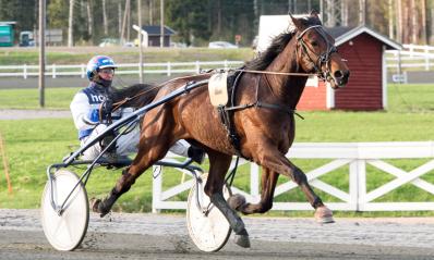 Peippo Oraviston Talli Oy Kari Korte Matti J. Mäkinen Hannu Torvinen Satu Ilo 1 1.