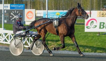 Ap a ch e Ke m p Omistaja: Ramppivalo Oy Kasvattaja: Stoeterij Merett Valmentaja: