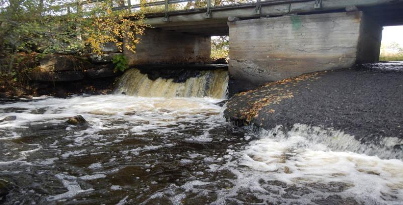 Myllypaikka Leineperin padon alapuoli Yhteensä