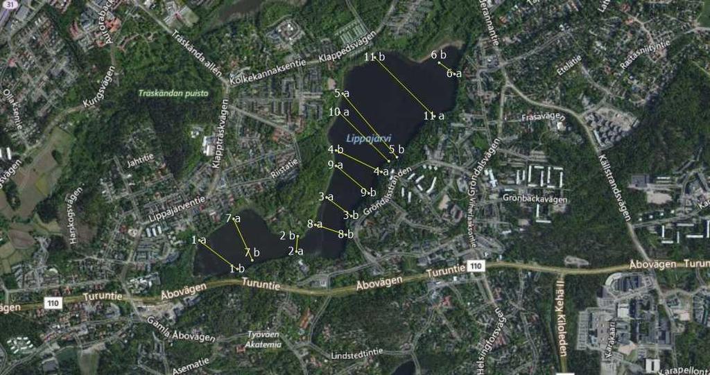 Kuva 1. Satelliittikuva Lippajärvestä, sekä sukelletut linjat. Linja 11 on yhdistetty kahdesta linjasta, joista molempia ei pystytty toteuttamaan sääolojen, sekä tiheän kasvillisuuden vuoksi.
