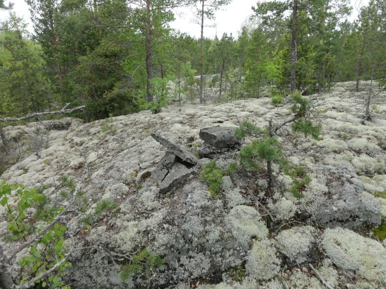 13 Rajamerkki B, taustalla häämöttää rajamerkki A. Länteen. MERIKARVIA 41 PUKKIKORPI Mjtunnus: Rauh.