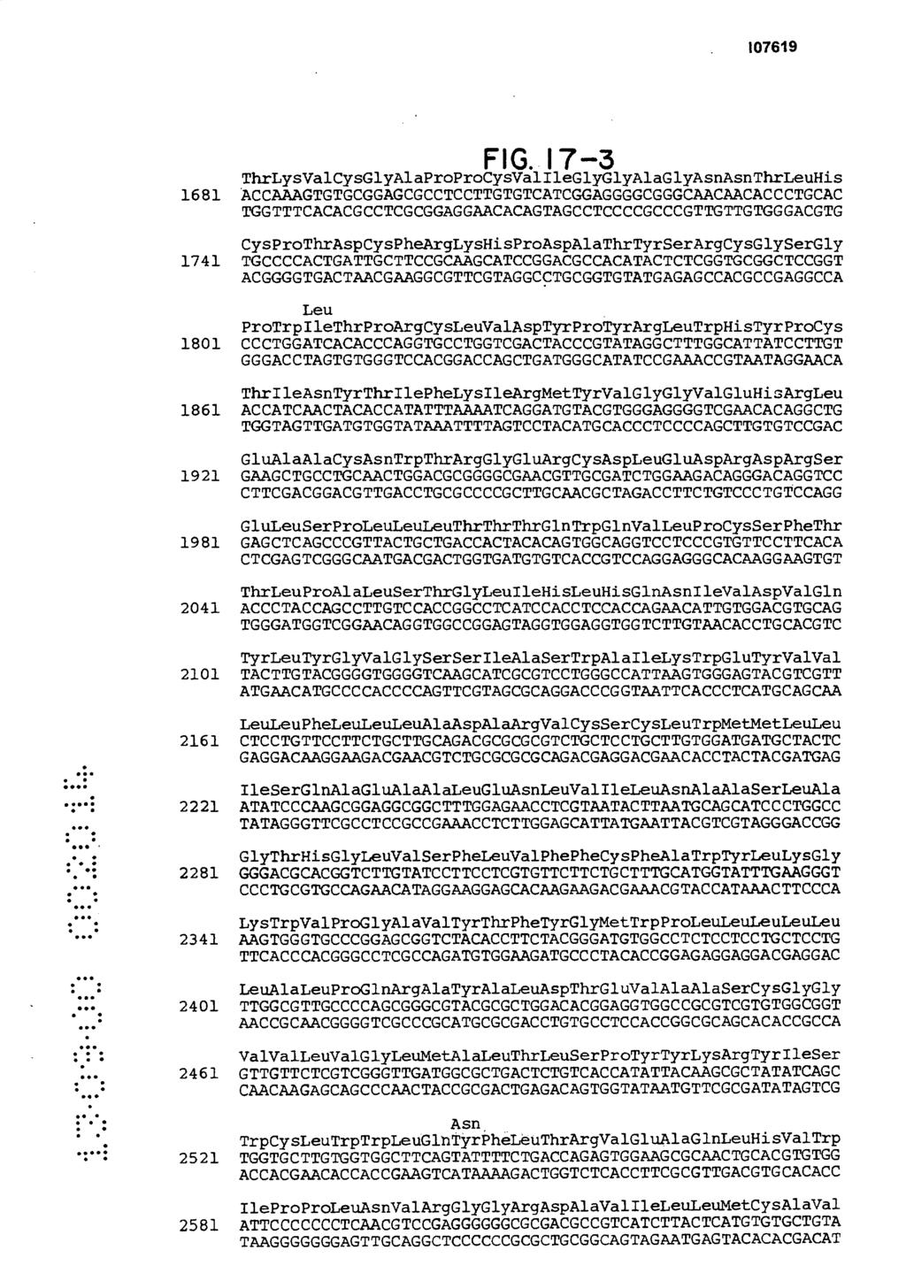 FIG. 17-3 ThrLysValCysGlyAlaProProCysValIleGlyGlyAlaGlyAsnAsnThrLeuHis 1681 ACCAAAGTGTGCGGAGCGCCTCCTTGTGTCATCGGAGGGGCGGGCAACAACACCCTGCAC TGGTTTCACACGCCTCGCGGAGGAACACAGTAGCCTCCCCGCCCGTTGTTGTGGGACGTG