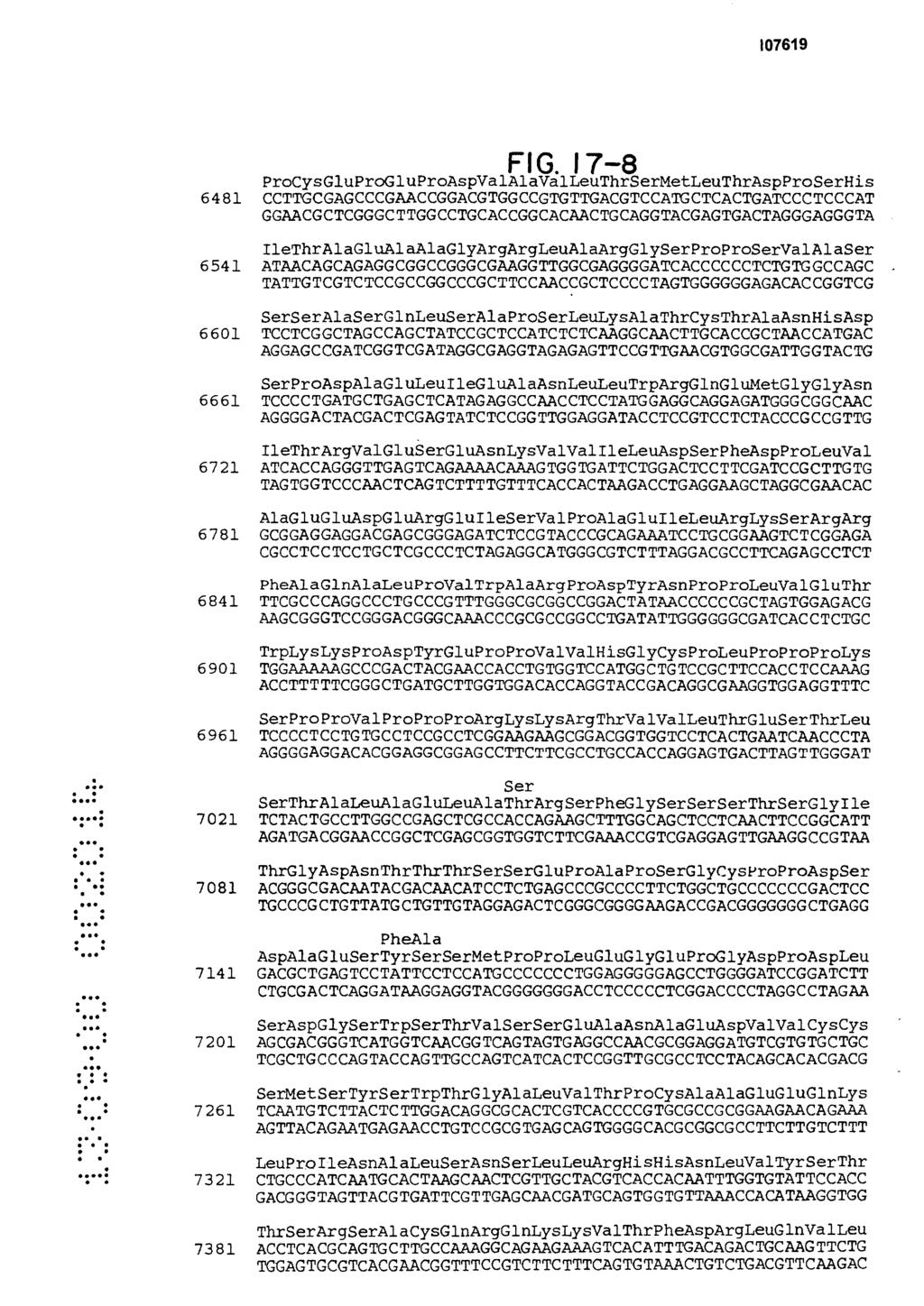 FIG. 17-8 ProCysG1uProGluProAspVa1AlaValLeuThrSerMetLeuThrAspProSerHis 6481 CCTTGCGAGCCCGAACCGGACGTGGCCGTGTTGACGTCCATGCTCACTGATCCCTCCCAT GGAACGCTCGGGCTTGGCCTGCACCGGCACAACTGCAGGTACGAGTGACTAGGGAGGGTA