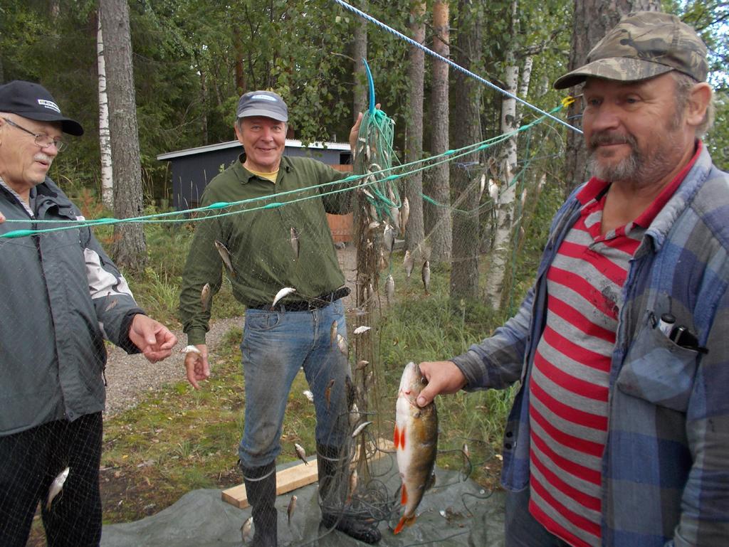 4 Tulokset ja niiden tarkastelu Kuva 8. Vasemmalta lukien Savonlahden koekalastusten tukikohdan isäntä Seppo Silvennoinen, Pro Puruvesi ry.