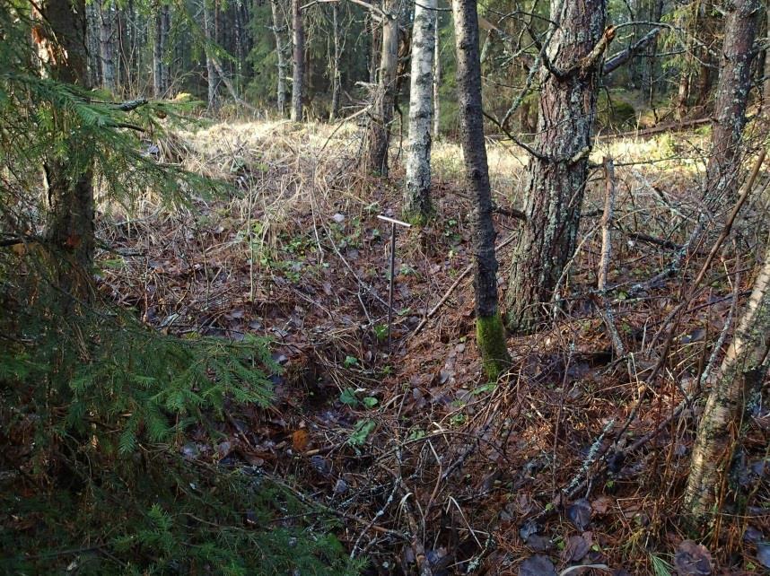 11 Huomiot: Hannu Poutiainen 2013: Kyseessä on todennäköisesti rännihauta-tyyppinen tervahauta. Paikalla on havaittavissa pitkänomainen ja kapea kaivanto, pituus 4 m, leveys 0,8 m syvyys 0,3 m.