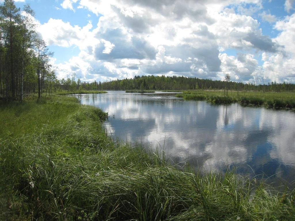 Vastaanottaja Suomen Hyötytuuli Oy Saba Tuuli Oy Ab Asiakirjatyyppi Luontoselvitys