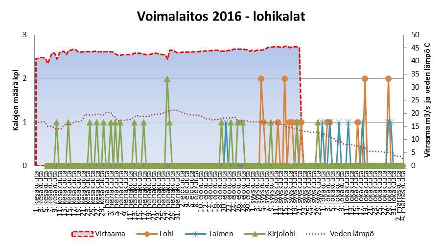 Kuva 13. Voimalaitospadon kalaportaassa ylöspäin liikkuneiden lohikalojen määrät seurantajaksolla 1.6. 5.11.2016. Kuva 14.