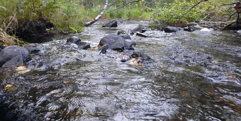 VAIKUTUKSET MATKAILUELINKEINOON OSANA SOSIAALISIA VAIKUTUKSIA Elinkeinovaikutukset on tarkasteltu YVAssa erikseen SVAssa referoitu matkailuyrittäjille tehdyn