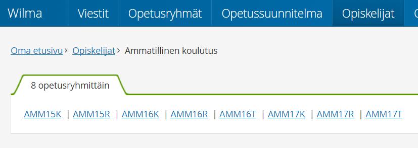 Ammatillisen koulutuksen ryhmät (luokat) jakautuvat klassisen, rytmimusiikin ja musiikkiteknologian ryhmiin. Numero ryhmän nimessä tarkoittaa aloitusvuotta ko. koulutuksessa.