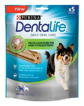 KOIRANHERKUT 0 40 g DENTALIFE