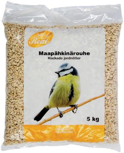 Hint sisältää pntin.