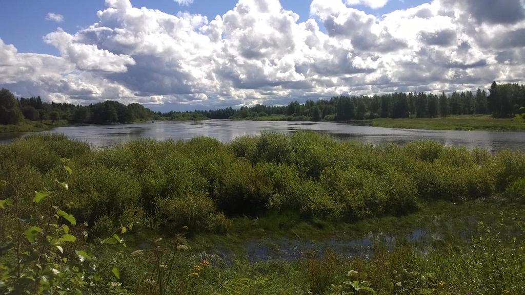 Tiironsuvanto Usein tulvatilanteessa on havaittu Pohjois- ja Etelähaaran risteysalueella pääosan jäistä ohjautuvan Pohjoishaaraan Tiironsuvannon suunniteltujen toimenpiteillä pyritään siihen, että