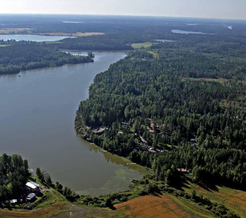 Kirkkonummella sijaitseva Kalljärvi on erittäin rehevä järvi, jonka veden laatu on luokiteltu huonoksi.