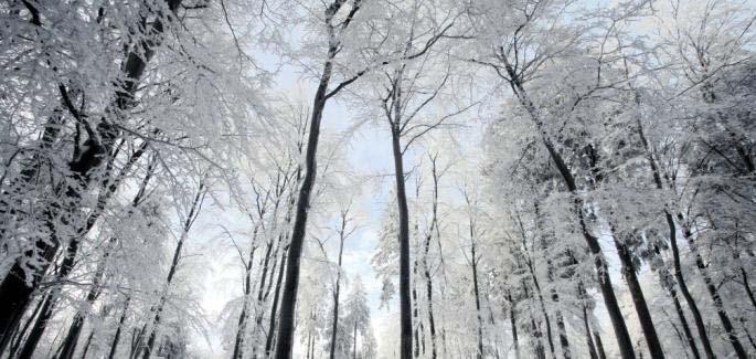 Metsänhoitoyhdistys Lakeus Jalasjärvi, Jurva, Kauhajoki, Teuva Perustettu 1.1.2004 n.