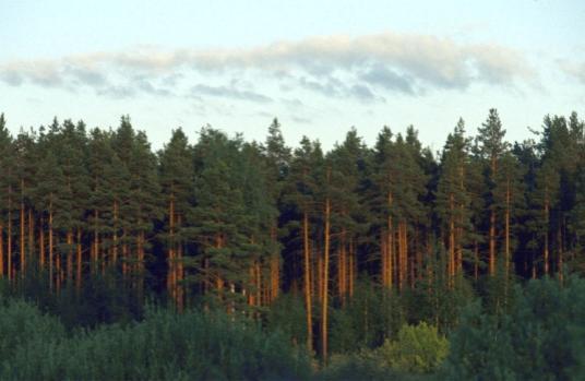 energian tuotantorakenne HAKKUUMÄÄRIEN KEHITTYMINEN