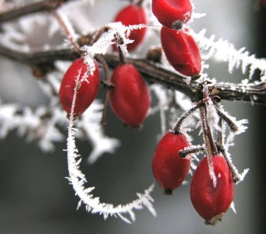 Taideopintoja, historian tutkimusta, kävelylenkkejä uuden elämän askelin Posted on 18.12.