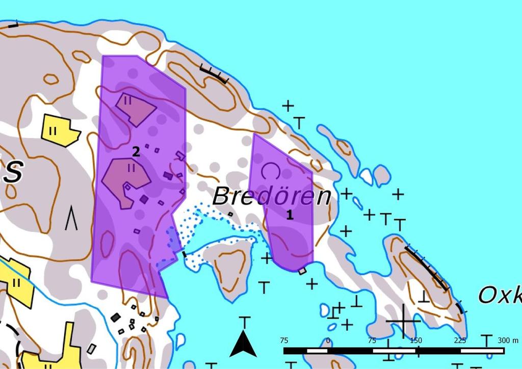 Kartta 2. Kaavamuutosalueet 1 ja 2 (violetit rajaukset). 4. Luontoselvityksen tulokset Kaavamuutosalue 1 Alueen eteläosassa on paikoin paljasta ja katajaista rantakalliota.