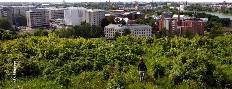 edistäminen Viherkerroinmenetelmä Hulevesien