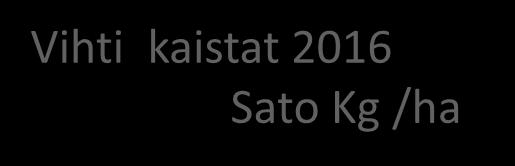 Vihti kaistat 2016 Sato Kg /ha 7000 6000 5000 4000 3000 2000