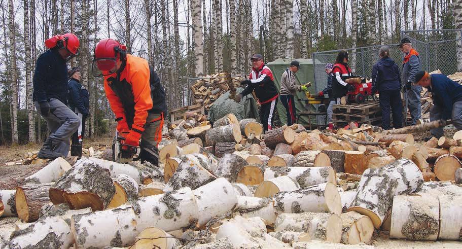 Kesän kaikuja Lintulahdesta Niin sanottu kesä antoi odottaa itseään tänä vuonna tavallista pidempään. Lintulahteen tulimme kesän viettoon hyvissä ajoin ennen Vappua.