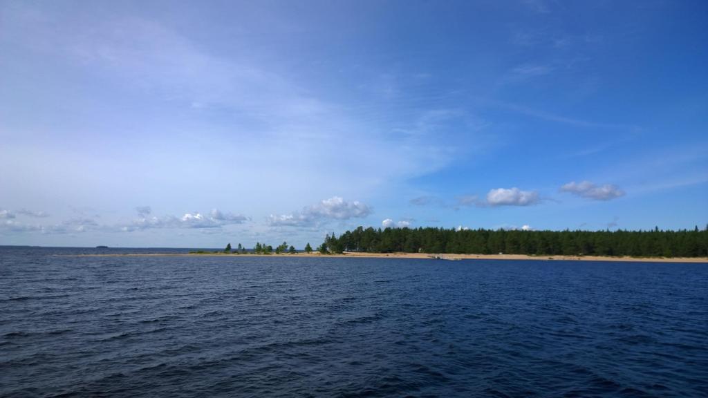 Ärjä Masterplan 2020 FT Anni Koskela Metsähallitus,