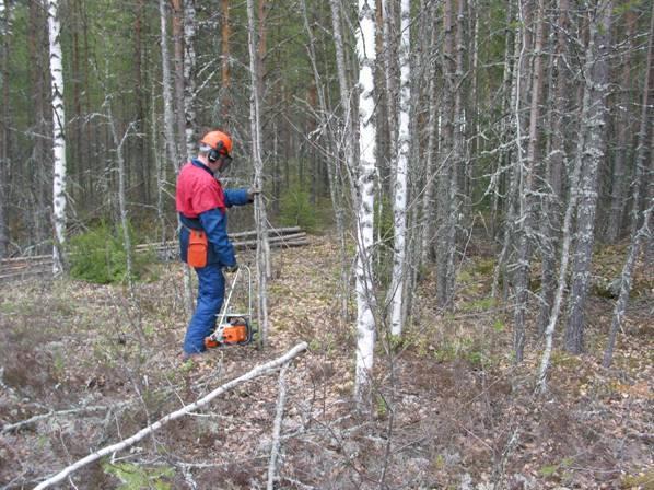 Pienpuuta miestyönä