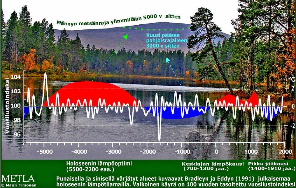 Holoseenin ilmastovaihtelut (sinipuna) ja Lapin metsänrajamännyn lyhytjaksoiset (<100 v) kasvutrendit,valkoinen viiva). Pitempijaksoiset kasvutrendit saadaan näkyviin RCS-metodilla.