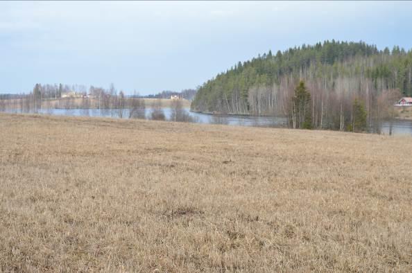 20 Kuva 19. Kuva 20. Virmapyhänvuori on maisemallinen arvokohde ja kohokohta. Vesistöt yhdistävät ja erottavat. Näkymä Kortesaaren sillalta. 4.1.3 Kulttuurimaiseman historia - Tavoitteeksi yhtenäisten viljelyalueiden ja maatalouden elinvoimaisuuden säilyttäminen.