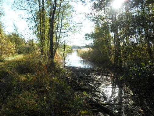 Alakuvissa Verkkokarin puoleisen rannan kaivetut ojat ja veneväylät