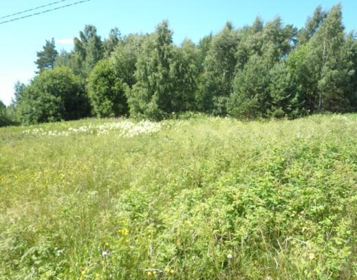 olisivat palautettavissa merkittäviksi ottamalla alueet uudelleen