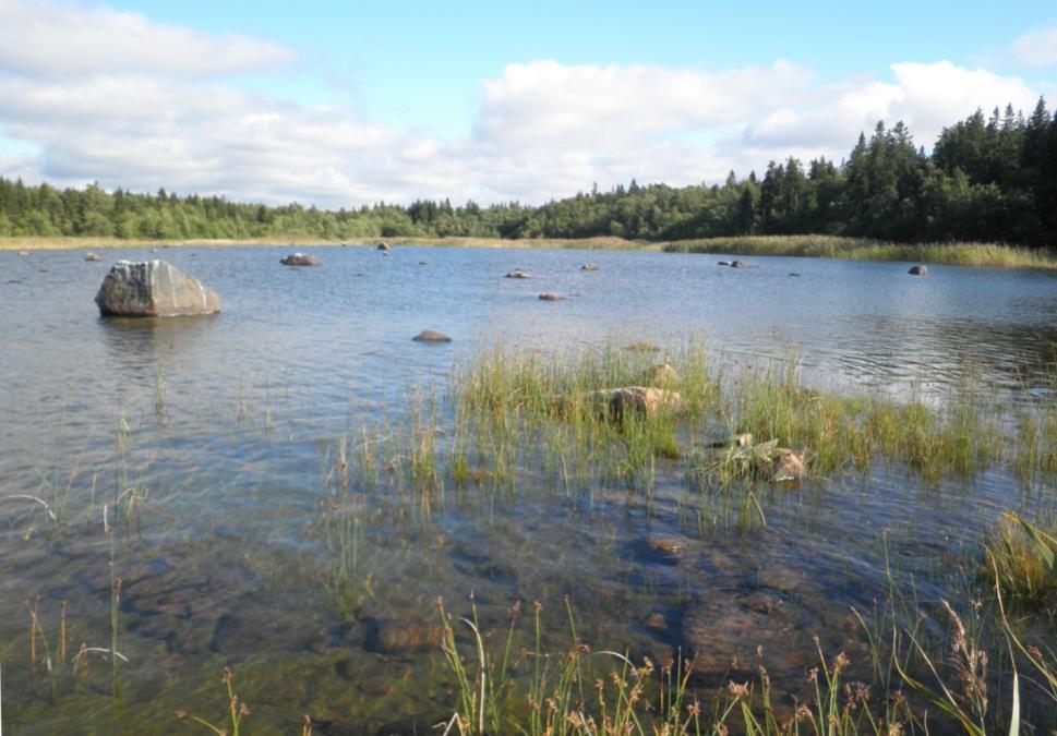 LUVIA: Maa-Pura - Verkkokari 7 ha rantaniittyä, hakaa ja metsälaidunta (liitteen kartat 5. ja 6.