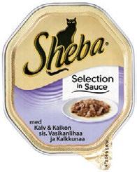 (,8/kg) Norm.