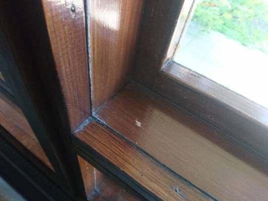 4.6. Ikkunat Ikkunat ovat alkuperäisiä kaksilasisia puuikkunoita. Pääosa ikkunoista on kiinteitä ja osa avattavia tuuletusikkunoita.